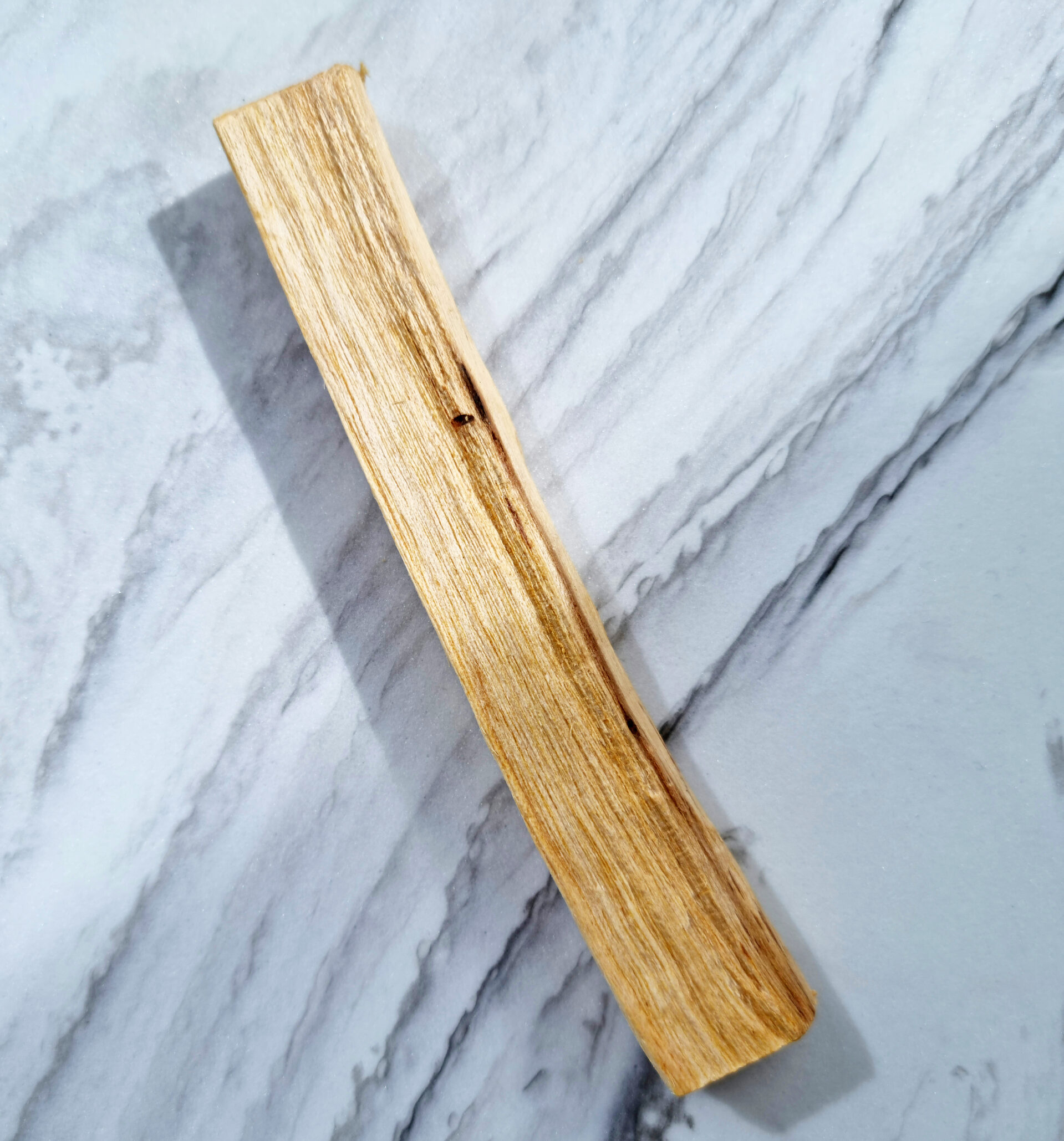 PaloSanto