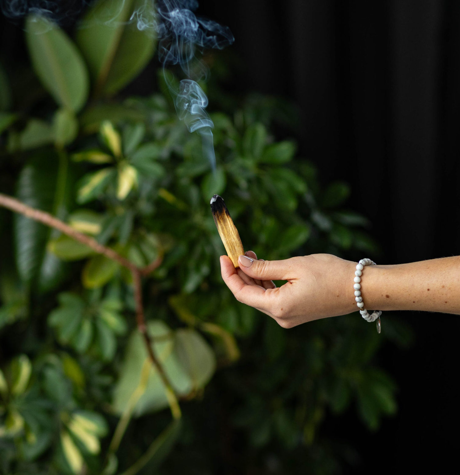 Palo Santo